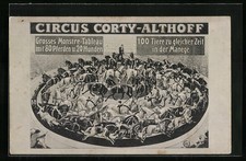 Künstler-AK Circus Corty-Althoff, Pferde-Dressur 