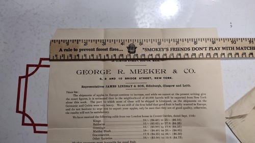 New York Apple Meeker Co Export Obst nach Europa Shen Jct Wv Obstgarten Brief 1903 - Bild 12 von 12