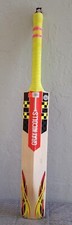 GRAY-NICOLLS POWERBOW5 300 Cricket Bat