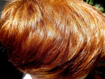 500g Henna Powder Natural Red Hair Dye Fresh New Delivery From