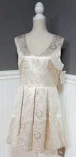 NWT Boston Proper Size 12 Jacquard Pleated Champagne Metallic A-Line Dress