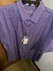 Foto 11 di 11