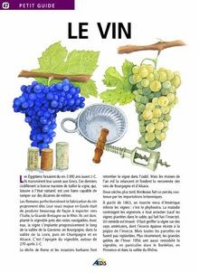 Le vin von Florence Kennel | Buch | Zustand sehr gut