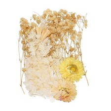 Natural Dried Flower Set, Dried Pressed Flowers White Brown 