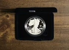 2025 P American Silver Eagle Marine Privy 1oz OGP