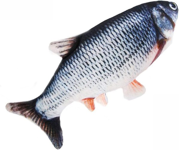 Katzenspielzeug Fisch SelbstbeschäFtigung Elektrisch Mit Katzenminze --image