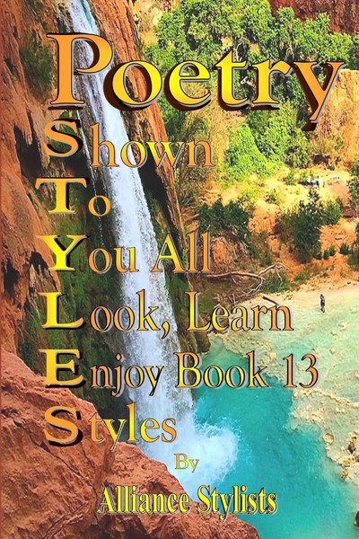 Poetry Styles Book Thirteen Alliance Stylists World-Wide Taschenbuch Englisch-image