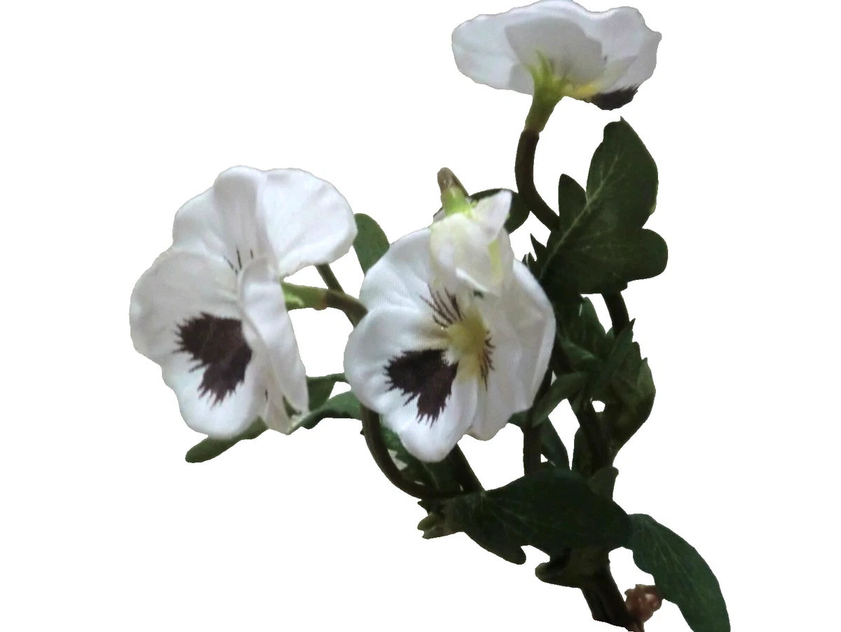 künstliche sonne vitamin d Sonnenfreund · Vitamin D3 + K2 Tropfen von NATURTREU main image 1
