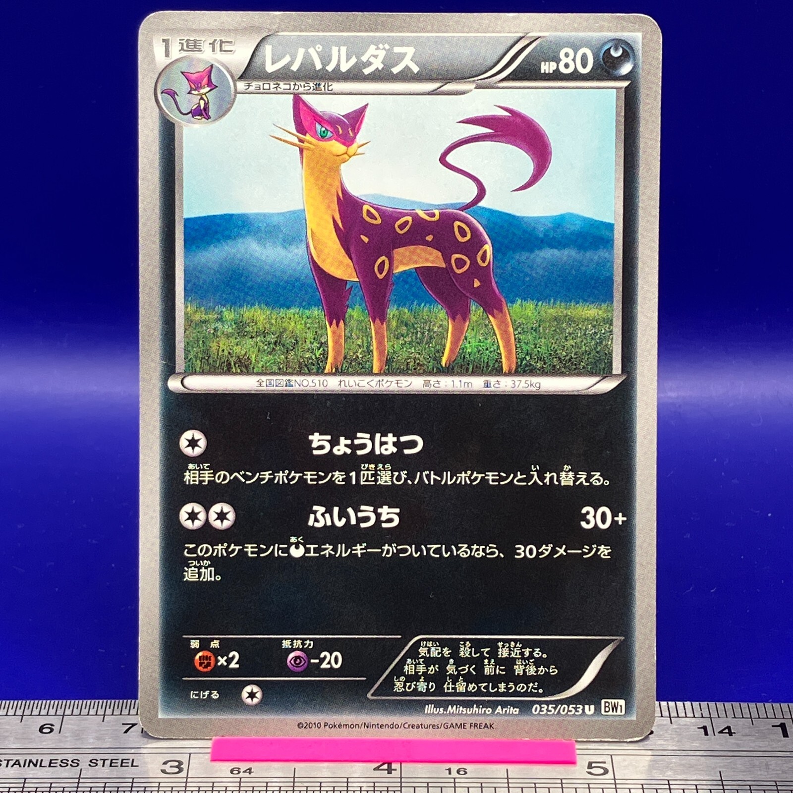 Liepard Pokemon Card 035/053 BW1 2010 Nintendo TCG Japanese #039