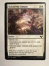 MTG Defend the Campus (12/275) Strixhaven School of Mages NM