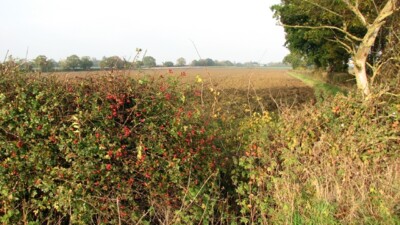 Foto 12x8 Kilsyth Hills, Drumnessie-Siedlung Diese Farm auf Roy & c2010
