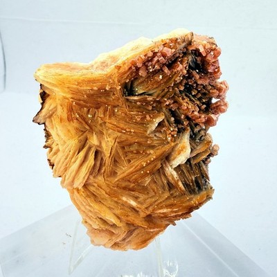Vanadinite on Barite Morocco 5.0 oz Red Hexagonal Crystals Bladed Matrix 2.75''