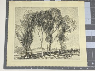Signed Roi Partridge (1888-1984) ''Fallbrook Landscape (California)'' Etching 1950