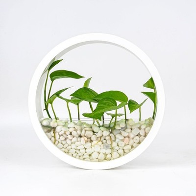 Wand Sukkulenten Topf mit Orchideenverträglichkeit 25x25x5cm Kunststoff Design