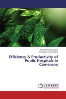 Parfait Bihkongnyuy Beri (U. A.) | Efficiency & Productivity Of Public...