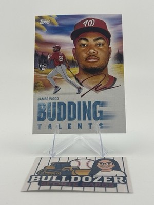 2025 Topps x Bob Ross Nationals James Wood Budding Talent BT-2