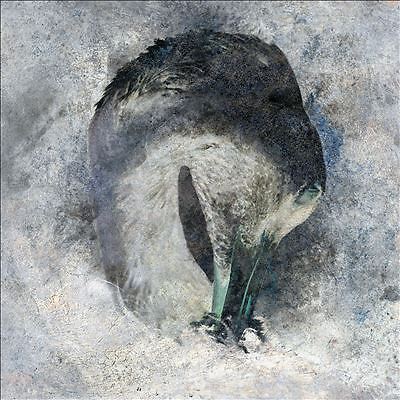 Ashes by Suma (CD, 2022)