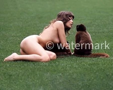 Barbi Benton  Actress, Model  8X10 Photo Reprint