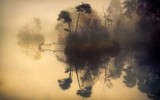 Landscape nature mist lake trees water reflection shrubs Custom Gaming Mat Desk