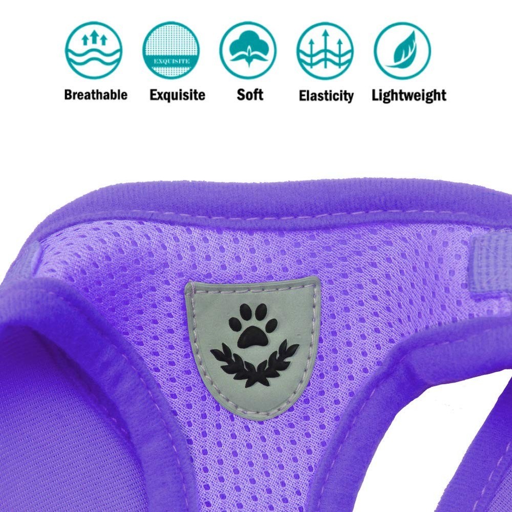 Dog Harness and Leash Set for Walking, Soft Mesh Adjustable Easy Control