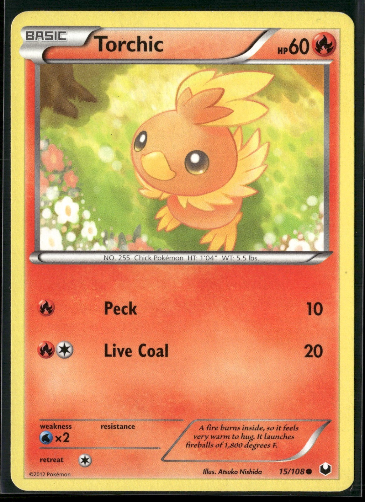 Torchic (15) Common Dark Explorers 15/108 NM
