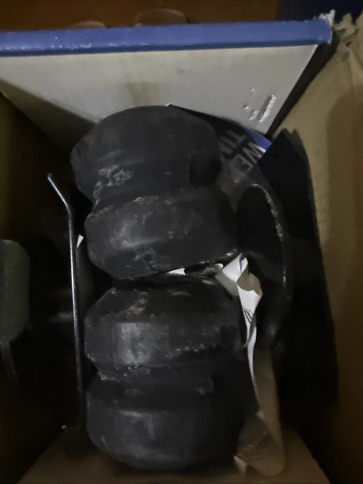 TIMBREN SES TORTUN4 Foto 2 de 4