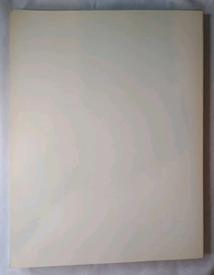 Ray's Complete Helicopter Manual 3rd edition R/C Modeler Magazine 1991 - Image 2 of 3