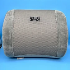 Mount-It! Ergo Active Lumbar Memory Foam Support Pillow MI-1013