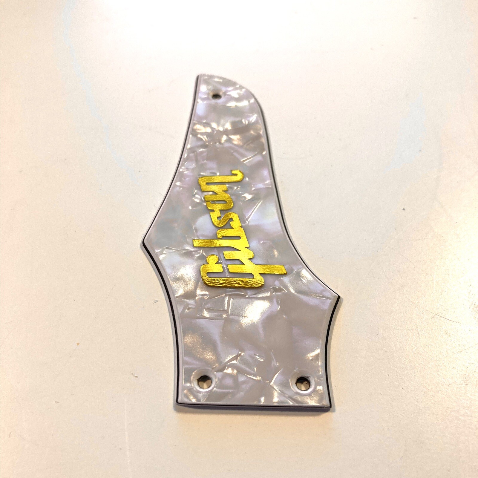 Truss Canne Housse pour Epiphone Les Paul Personnalisé Standard Blank 2