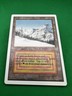 Taiga - Land - Magic The Gathering Unlimited VG/LP