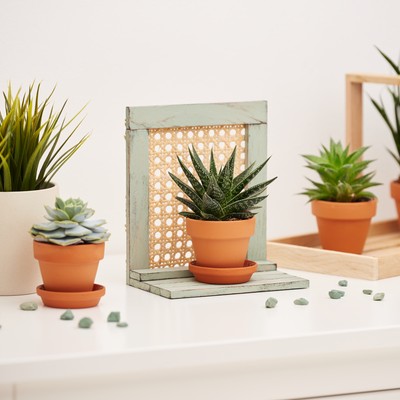 4er Set Terrakotta-Blumentöpfe 15cm Mit Untersetzern - Tontöpfe Für Innen & Außen