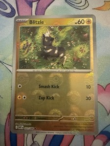Blitzle 031/086 (Poke Ball Pattern) Pokemon TCG SV: White Flare ENGLISH