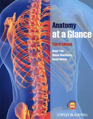 Anatomy at a Glance - Paperback NEW Omar Faiz 2011-03-25