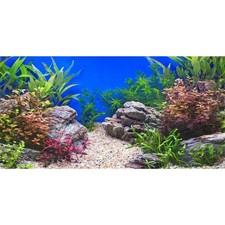 48x18 inches Aquatic Plant Fish Tank Background Stone River Bed  Lake Aquari...