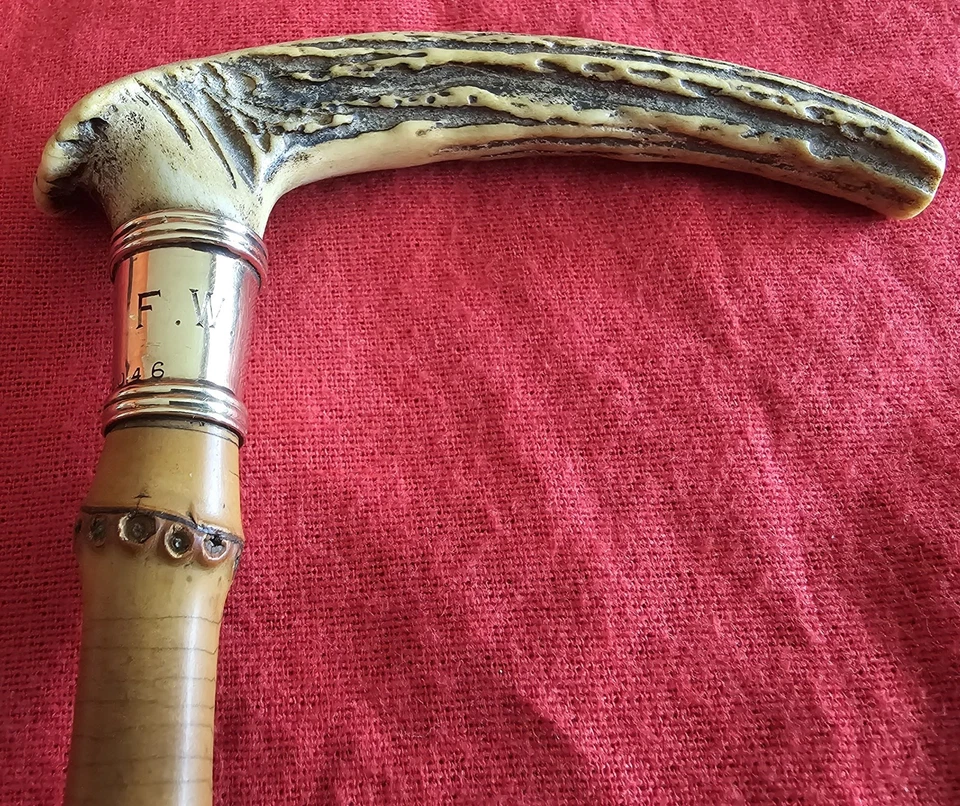 Victorian Antique Walking Stick Presentation Cane Bamboo Antler 14K Gold Collar - Image 2 of 4