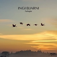 Bjarni/Myhre/Kagu - Ingi Bjarnifarfuglar - Cd - G4Z