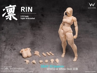 Whale Works WW02A Rin White Skin 1/12 Scale Female Action Figure
