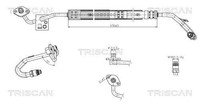 Hydraulikschlauch, Lenkung Triscan 8516 29061 FüR OE 7P0 422 893 AB - 7P0 422