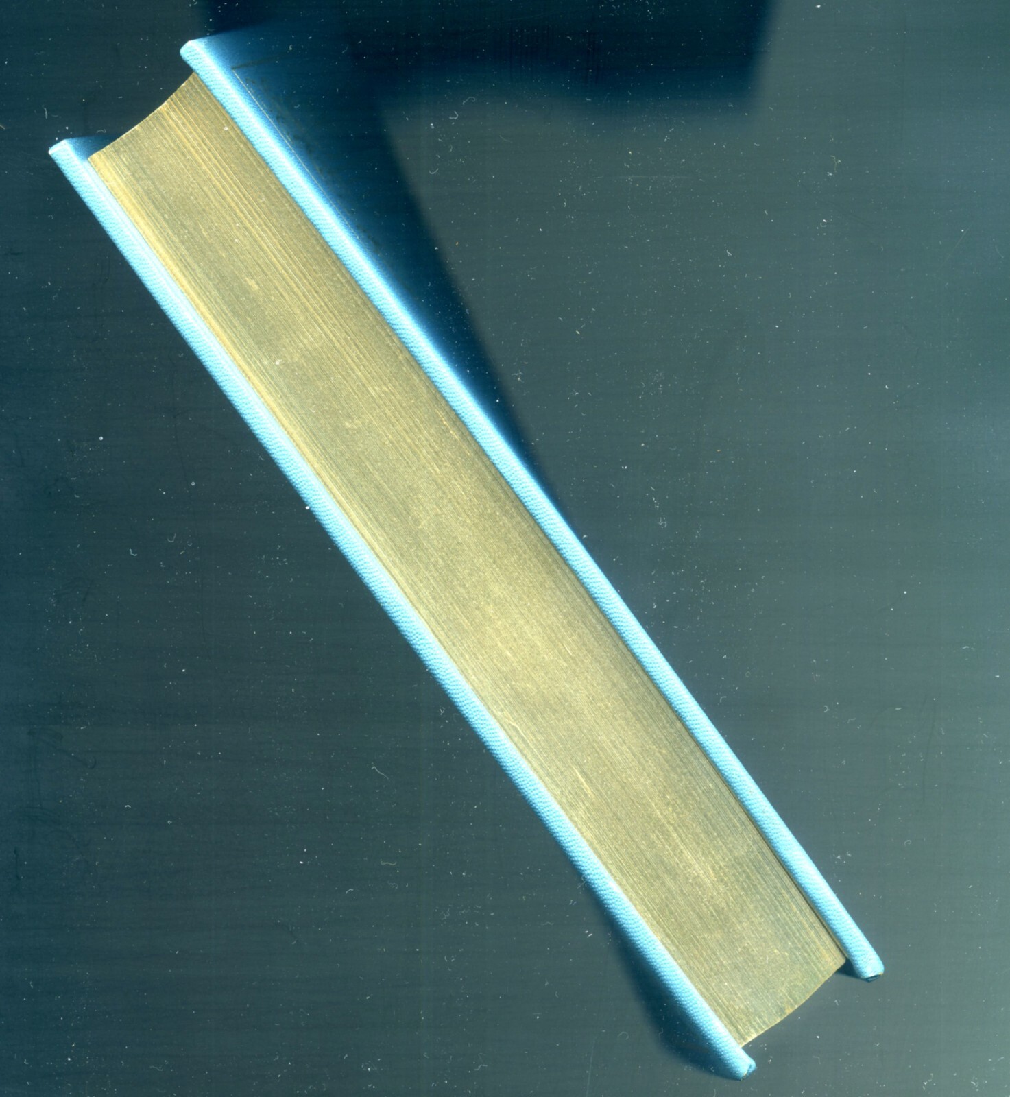 Foto 7 di 14