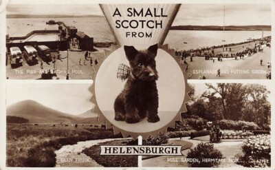 3 frühe SCOTTISH TERRIER Helensburgh Glencoe Dunoon Mehrfachansicht Postkarten