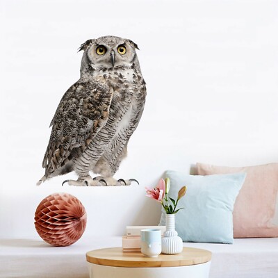 Murale 3D Bird Feather G662 – Poster Stickers Muraux – Plume Oiseau Colorée