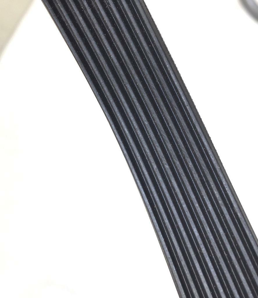 8PJ559 Motor Drive BELT for ProForm C500 C525 Treadmill | eBay