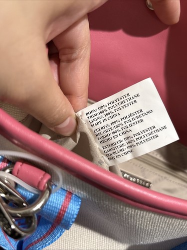 NWT Steve Madden BWebber Tote Purse Bag W/Coin Bag Blue/Pink Canvas TikTok Viral - 第 19/21 張圖片