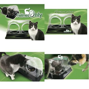 felines only cat dish