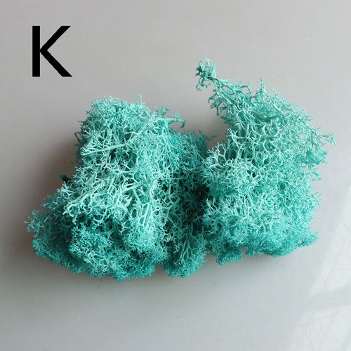 Natural Reindeer Moss Preserved Norwegian Dried Craft Decorations Wreath Green - Picture 22 of 26