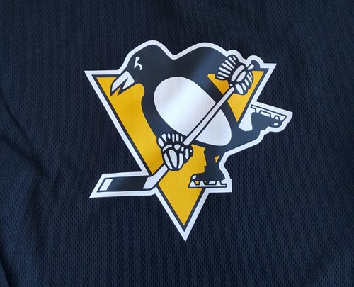 Outerstuff Pittsburgh Penguins Team Jersey Shirt Boys Youth Sizes NHL - Picture 4 of 4
