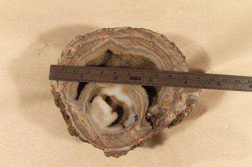 Unpolished Dugway Geode Half Utah - Picture 2 of 3