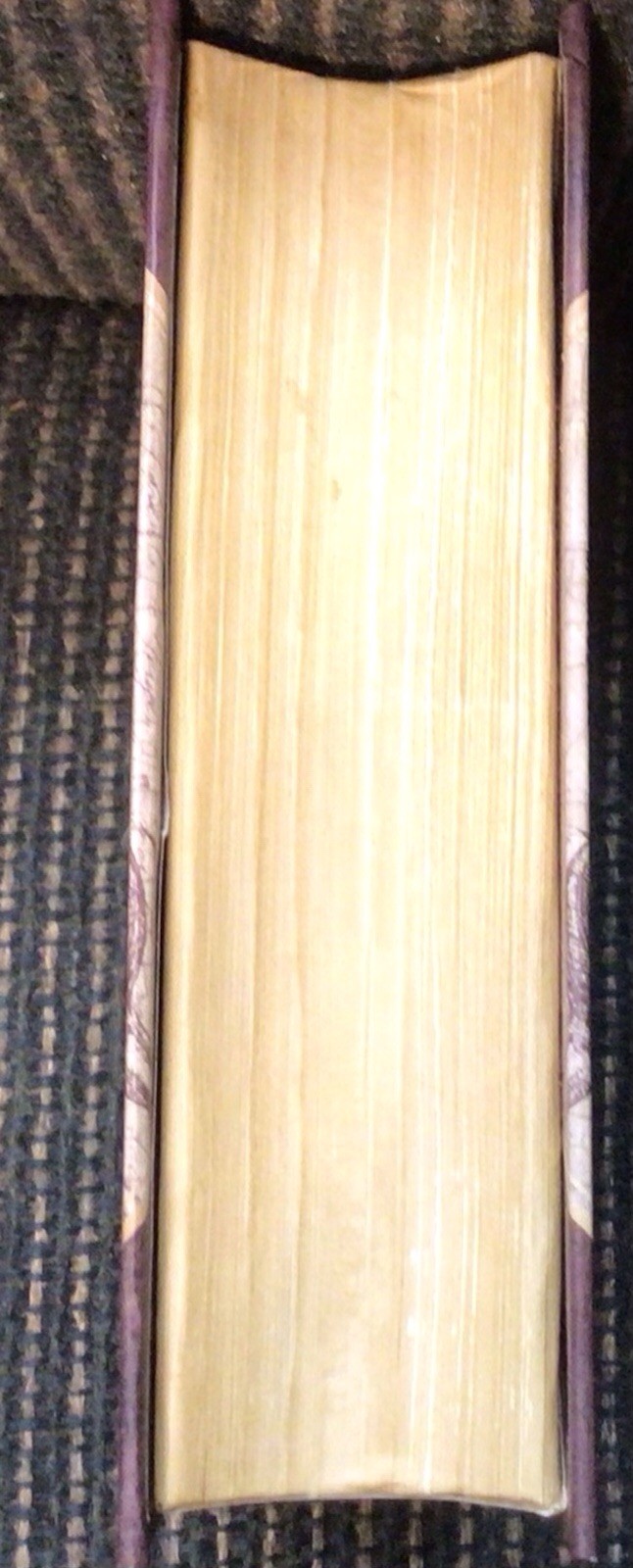 Picture 4 of 5