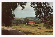 Farmer interrupts his work to watch Southern Railway Freight Train Postcard