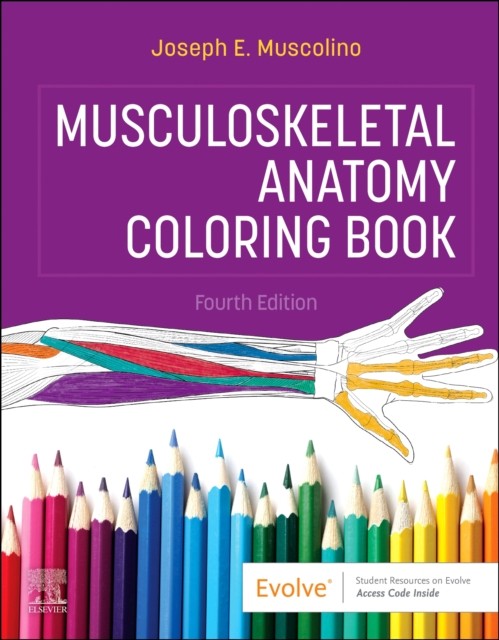 Musculoskeletal Anatomy Coloring Book Joseph E., Dc (Instructor, Purchase College, State Universi Muscolino - Image 3
